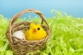 Yellow fluffy Easter chicken toy. Royalty Free Stock Photo