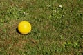 Yellow Foam Ball Lying in a Garden