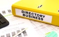 A yellow folder with documents labeled DIRECTORY BUSINESS lies on the office desk Royalty Free Stock Photo