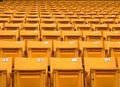 Yellow folding chairs lined on the stadium sport