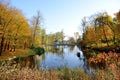 The yellow foliage on trees in Olexandria Park Royalty Free Stock Photo