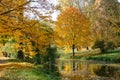 The yellow foliage on trees in Olexandria Park Royalty Free Stock Photo