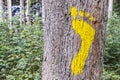 Yellow footprint signs on a tree in the forest for pedestrian. S