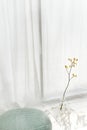 Yellow forsythia in a cleared-vase on a white marble floor by a white curtain