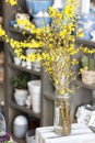 Yellow forsythia in a glass vase stands on a wooden box Royalty Free Stock Photo