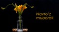 Yellow freesia bouquet in small glass vase on dark backgroundwith date cubes