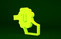 Yellow French poodle dog icon isolated on green background. Minimalism concept. 3d illustration 3D render