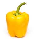 Yellow Fresh Capsicum