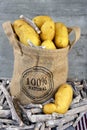 Yellow Fresh potatoes in a jute bag