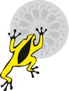 Yellow Frog Royalty Free Stock Photo