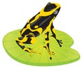 Yellow frog on a leaf Royalty Free Stock Photo