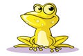 Yellow frog Royalty Free Stock Photo