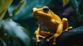 A yellow frog is sitting on a branch in a green forest. Generative AI Royalty Free Stock Photo