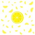 Lemon Slices Pattern.  Lemon Background. Vector Illustration.
