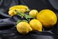 Yellow fruit on a black background Royalty Free Stock Photo