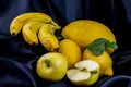 Yellow fruit on a black background Royalty Free Stock Photo