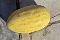 Yellow fruit of a ripe melon on the stone floor