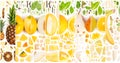 Yellow Fruit Slice and Leaf Collection Royalty Free Stock Photo