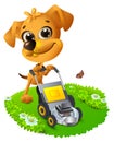 Yellow fun dog mowing lawn