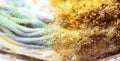 Yellow fungus  close-up macro. Moldy fungus on food. Fluffy spores mold  a background or texture Royalty Free Stock Photo