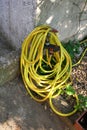 Yellow Garden Hose Royalty Free Stock Photo