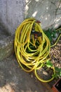 Yellow Garden Hose