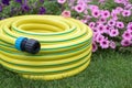 Yellow garden hose pipe Royalty Free Stock Photo