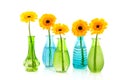 Yellow Gerber flowers in little glass vases Royalty Free Stock Photo