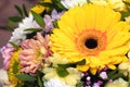 Yellow gerbera flower in floristic arrangement closeup.