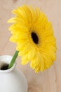 Yellow gerbera flower in vase with wooden background Royalty Free Stock Photo