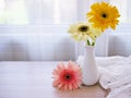 Yellow Gerbera jamesonii daisy flower in vase on table ,Barberton Transvaal daisy copy space for text or lettering flower in ce Royalty Free Stock Photo