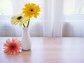 Yellow Gerbera jamesonii daisy flower in vase on table ,Barberton Transvaal daisy copy space for text or lettering flower in ce Royalty Free Stock Photo