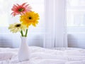 Yellow Gerbera jamesonii daisy flower in vase on table ,Barberton Transvaal daisy copy space for text or lettering flower in ce Royalty Free Stock Photo
