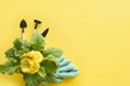 Yellow gerbera, shovel, gardening tolls on yellow. Copy space