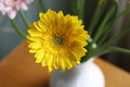Yellow gerbera in a vase in a bouquet of the bolero cancan type