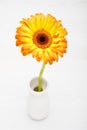Yellow Gerbera in vase on white wooden table. Daisy flowet in va