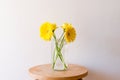 Yellow gerberas in glass jar