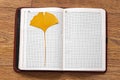 Yellow gingko leaf on the book on the floor