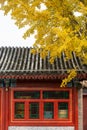 Yellow gingkoes and ancient Chinese architecture