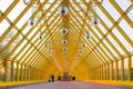 Yellow glass corridor