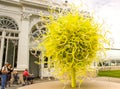 Yellow glass tree
