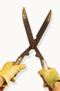 Yellow Gloves and Garden Shears Royalty Free Stock Photo