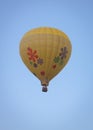 Yellow Glower Balloon