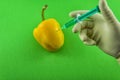 Yellow GMO Pepper Royalty Free Stock Photo