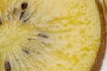 Yellow or gold kiwi fruits closeup. Royalty Free Stock Photo
