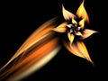 Yellow and gold shooting star flower abstract Royalty Free Stock Photo