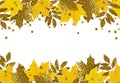 Yellow and golden autumn leaves and glitter drops in a seasonal borders isolated on white Royalty Free Stock Photo