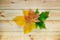 Yellow golden leaves in heap Royalty Free Stock Photo