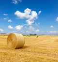 Yellow golden straw bales of hay in the stubble field Royalty Free Stock Photo