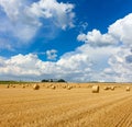 Yellow golden straw bales of hay in the stubble field Royalty Free Stock Photo